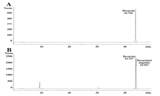 HPLC 분석을 통한 참당귀 뿌리 추출물의 데커신 함량(7.3%)