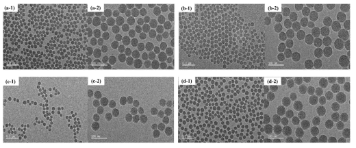 TEM images of Raspberry-type fluorescent silica nanoparticle (a) Control S, (b) RSB, (c) RS6G and (d) RSF samples