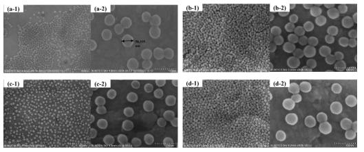 Low and high magnification SEM micrographs of Raspberry-type fluorescent silica nanoparticle (a) Control S, (b) RSB, (c) RS6G and (d) RSF samples