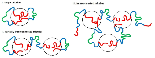 CBABC 유형의 오중블록공중합체가 용액 상에서 형성할 수 있는 마이셀 구조
