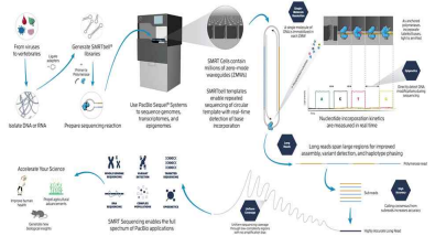 핵심기술: SMRT sequencing