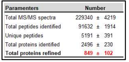 Proteomics 분석결과