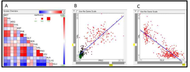 표준화 농도를 이용한 각 유리아미노산 간의 상관관계 (Pearson’s correlation)