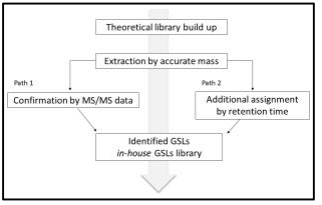 Schematic diagram of mass spectrometry data process for the assignment of GSLs