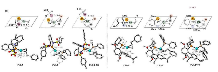 Hydrosilylation익 계산 메커니즘