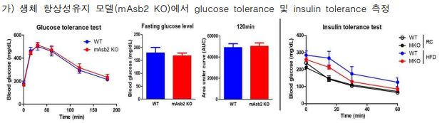 Glucose tolerance test에 따른 혈중 glucose (왼쪽) 및 insulin tolerance test에 따른 혈중 insulin