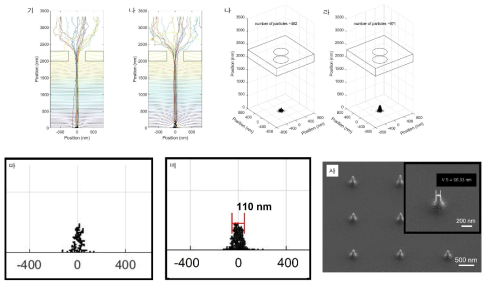 (가), 2D Simulation 결과(증착 초기). (나), 2D Simulation 결과(증착 후반). (다), 3D Simulation 결과(증착 초기). (라), 3D Simulation 결과(증착 후반). (마), 2D Simulation 결과의 확대 이미지. (바), 3D Simulation 결과의 측면 이미지. (사), 실제 실험 결과의 주사전자현미경 이미지