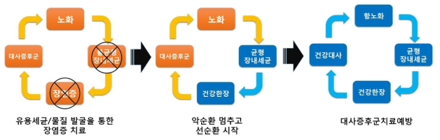 장내 미생물 조절을 통한 염증 대사증후군 개선 기본 개념도