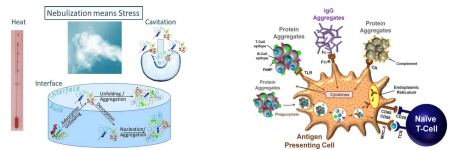 의료용흡입기에서 발생되는 물리적 요인(좌), 단백질의 집합체에 의한 면역반응(우)