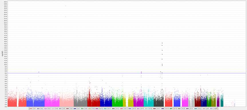 고혈압 관련 전장유전체연관성분석(Genome-wide Association Study; GWAS)의 Manhattan Plot