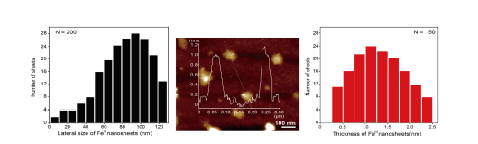 Fe2O3 나노시트의 AFM 이미지와 판상 사이즈, 두께 분포 그래프