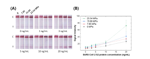 (A) SARS-CoV-2 Spike protein 농도와 압력에 따른 LFA strip검출 신호세기 의 차이. (B) LFA strip에 가한 압력의 증가에 따른 test line 발색 신호 세기 정량화 그래프