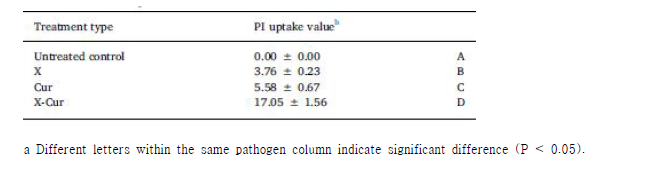 Propidium iodide (PI) uptake values in Listeria monocytogenes indicating membrane damage after treatment with X-ray (X), curcumin (Cur), and a combination of X-ray and curcumin (X-Cur).