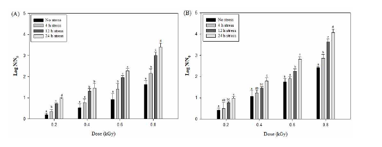 Effects of X-ray irradiation of contaminated peptone water on the counts of Listeria monocytogenes (A) and Staphylococcus aureus (B) cultured in 20 % NaCl solution for 0 (No stress), 4, 12, and 24 h. Error bar is standard deviation from three replicates. Bars labeled with different lowercase letter in the same treatment dose represent significant differences (P < 0.05).