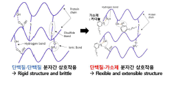 가소제 효과