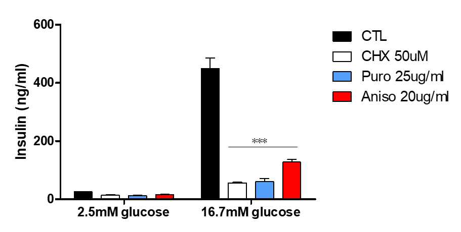 Translation inhibitor를 처리하였을 때 insulin secretion 변화 비교. glucose stimulated insulin secretion에서 translation이 중요한 역할을 하는지 확인하기 위해 translation inhibitor들을 처리한 뒤 glucose stimulated insulin secretion을 진행하였다. 그 결과 inhibitor를 처리한 경우 glucose에 의해 증가 된 insulin secretion이 감소하는 것을 확 인 할 수 있었다.