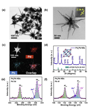 ntermetallic Pd3Pb nanobranch의 이 미지 및 XRD, XPS 분석결과