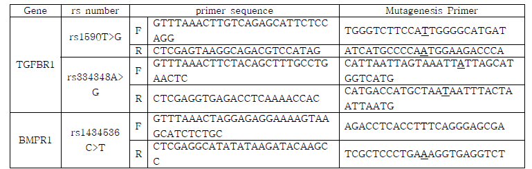 PCR 반응시 사용한 primer set