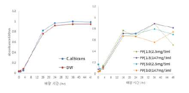 프로폴리스-알긴산 마이크로캡슐의 C.albicans증식 억제 효과 실험