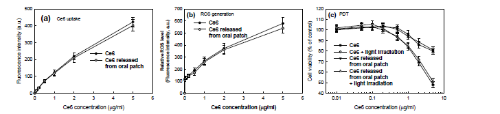 구강암세포인 AT84세포에 대하여 구강 패취로부터 방출된 Ce6의 광역동 처리 결과. (a) Ce6 uptake; (b) ROSformation; (c) PDT treatment.