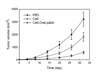 Ce6를 담지한 oral patch의 in vivo animal tumor xenograft에 대한 광역동 결과