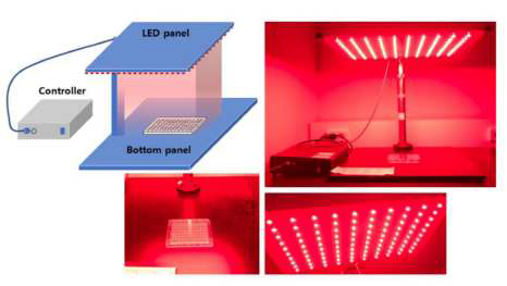 광역동 치료를 위한 광조사용 LED panel