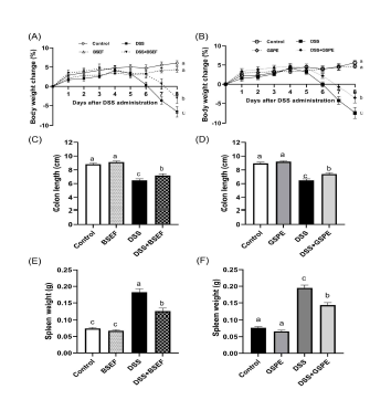 Changes in body weight (A, B), colon length (C, D) and spleen weight (E, F) of C57BL/6J mice with dextran sulfate sodium (DSS)-induced colitis (n=11-14). All data represent the means and standard errors of means. BSEF, supplemented with ellagitannin fraction from black raspberry seeds by oral gavage (333 mg/kg body weight/day). GSPE, supplemented with grape seed proanthocyanidin extract (200 mg/kg body weight/day). DSS, administered with 1.5% (w/v) DSS-containing water ad libitum. Control and DSS groups were provided with normal saline by oral gavage. Different lower cases indicate significant differences among the groups (p<0.05; one-way ANOVA and Duncan’s multiple range test).