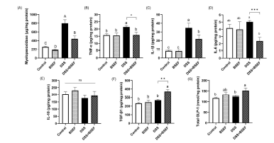 Pro-inflammatory markers (A-D), anti-inflammatory cytokines (E and F), and glucagon-like peptide-1 (GLP-1) (G) in the colon of C57BL/6J mice with dextran sulfate sodium (DSS)-induced colitis (n=7-8). All data represent the means and standard errors of means. TNF-α, tumor necrosis factor-α. IL-1β, interleukin-1β. IL-6, interleukin-6. BSEF, supplemented with ellagitannin fraction from black raspberry seeds by oral gavage (333 mg/kg body weight/day). DSS, administered with 1.5% (w/v) DSS-containing water ad libitum. Control and DSS groups were provided with normal saline by oral gavage. (A) Different upper cases indicate significant differences among the groups (p<0.05; Kruskal-Wallis with Dunn’s test). (B-G) Different lower cases indicate significant differences among the groups (p<0.05; one-way ANOVA and Duncan’s multiple range test). p<0.05 and ***p<0.001 by independent t-test compared with DSS group. ns, not significant.