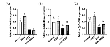 mRNA expressions of tight junction protein in the colon of C57BL/6 mice with dextran sulfate sodium (DSS)-induced colitis (n=7-8). Relative gene expressions were normalized to Actb expression. Ocln, occludin gene. Cldn1, claudin-1 gene. Tjp1, zonula occludens-1 gene. All data represent the means and standard errors of means. BSEF, supplemented with ellagitannin fraction from black raspberry seeds by oral gavage (333 mg/kg body weight/day). DSS, administered with 1.5% (w/v) DSS-containing water ad libitum. Control and DSS groups were provided with normal saline by oral gavage. Different lower cases indicate significant differences among the groups (p<0.05; one-way ANOVA and Duncan’s multiple range test).