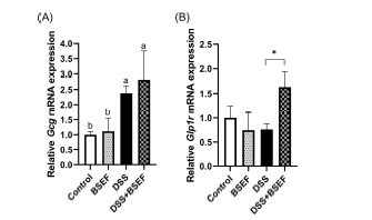 mRNA expressions of preproglucagon (A) and glucagon-like peptide-1 receptor (B) in the colon of C57BL/6J mice with dextran sulfate sodium (DSS)-induced colitis (n=7-8). All data represent the means and standard errors of means. Relative gene expressions were normalized to Actb expression. BSEF, supplemented with ellagitannin fraction from black raspberry seeds by oral gavage (333 mg/kg body weight/day). DSS, administered with 1.5% (w/v) DSS-containing water ad libitum. Control and DSS groups were provided with normal saline by oral gavage. Different lower cases indicate significant differences among the groups (p<0.05; Kruskal-Wallis test with Dunn’s test). *p<0.05 by independent t-test compared with DSS group.