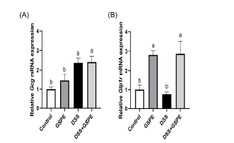 mRNA expressions of preproglucagon (A) and glucagon-like peptide-1 receptor (B) in the colon of C57BL/6J mice with dextran sulfate sodium (DSS)-induced colitis (n=7-8). All data represent the means and standard errors of means. Relative gene expressions were normalized to Actb expression. GSPE, supplemented with grape seed proanthocyanidin extract by oral gavage (200 mg/kg body weight/day). DSS, administered with 1.5% (w/v) DSS-containing water ad libitum. Control and DSS groups were provided with normal saline by oral gavage. Different lower cases indicate significant differences among the groups (p<0.05; one-way ANOVA and Duncan’s multiple range test).