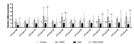mRNA expressions of mouse bitter taste receptor genes (mTas2r) in the colon of C57BL/6J mice with dextran sulfate sodium (DSS)-induced colitis (n=7). Relative gene expressions were normalized to Actb expression. All data represent the means and standard errors of means. GSPE, supplemented with grape seed proanthocyanidin extract by oral gavage (200 mg/kg body weight/day). DSS, administered with 1.5% (w/v) DSS-containing water ad libitum. Control and DSS groups were provided with normal saline by oral gavage. Different lower cases indicate significant differences within the same mTas2r (p<0.05; Kruskal-Wallis test with Dunn’s test).