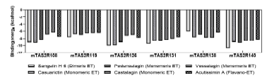 Predicted binding energies of ellagitannins against the predicted structure of mouse bitter taste receptor (mTAS2R). ET, ellagitannin