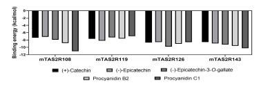 Predicted binding energies of proanthocyanidins against the predicted structure of mouse bitter taste receptor (mTAS2R).