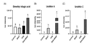 Ellagitannin metabolites in the feces of C57BL/6J mice with dextran sulfate sodium (DSS)-induced colitis (n=5). All data represent the means and standard errors of means. BSEF, supplemented with ellagitannin fraction from black raspberry seeds by oral gavage (333 mg/kg body weight/day). DSS, administered with 1.5% (w/v) DSS-containing water ad libitum. Control and DSS groups were provided with normal saline by oral gavage. (A and C) p<0.05 by Kruskal-Wallis with Dunn’s test. (B) p<0.05 by one-way ANOVA with Duncan’s multiple range test).