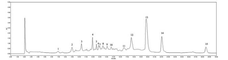 Chromatogram of ellagitannins in black raspberry seeds obtained in June 2020. The peaks represent 1, pedunculagin isomer; 2, pedunculagin isomer; 3, castalagin; 4, pedunculagin; 5, acutissimin A; 6, sanguiin H-10 isomer; 7, sanguiin H-6 isomer without galloyl moiety; 8, sanguiin H-10 isomer; 9, casuarictin isomer; 10, sanguiin H-2 isomer; 11, sanguiin H-10 isomer; 12, sanguiin H-6 isomer; 13, casuarictin; 14, sanguiin H-6; and 15, casuarictin isomer.