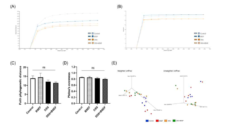 Gut microbiome analysis in C57BL/6J mice with dextran sulfate sodium (DSS)-induced colitis (n=5). All data represent the means and standard errors of means. (A) α-Rarefaction curves based on the number of observed features (ASVs, amplicon sequence variants). (B-D) Results of α-diversity analyses (Shannon index, Faith phylogenetic distance, and Pielou’s evenness). (E) Results of β-diversity analyses (weighted/unweighted UniFrac). BSEF, supplemented with ellagitannin fraction from black raspberry seeds by oral gavage (333 mg/kg body weight/day). DSS, administered with 1.5% (w/v) DSS-containing water ad libitum. Control and DSS groups were provided with normal saline by oral gavage. (C, D) There were no significant differences among the groups (p<0.05; one-way ANOVA with Duncan’s multiple range test). ns, not significant.
