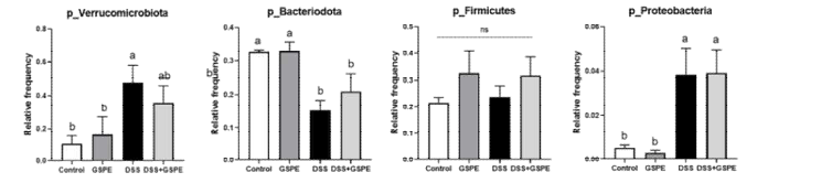 Taxonomic classification at the phylum levels of gut microbiota in C57BL/6J mice with dextran sulfate sodium (DSS)-induced colitis (n=5). All data represent the means and standard errors of means. GSPE, supplemented with grape seed proanthocyanidin extract by oral gavage (200 mg/kg body weight/day). DSS, administered with 1.5% (w/v) DSS-containing water ad libitum. Control and DSS groups were provided with normal saline by oral gavage. Different lower cases indicate significant differences among the groups (p<0.05; one-way ANOVA with Duncan’s multiple range test). ns, not significant.