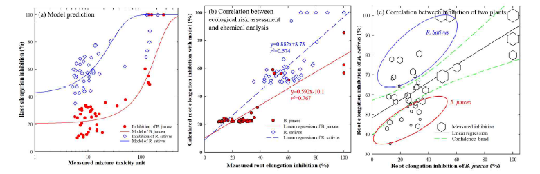 개발된 복합 독성 모델과 본 현장 검증에서 채취 및 분석된 시료 43종의 뿌리 생장을 바탕으로 추정된 혼 합 독성 단위(a), 그리고 본 검증에서 식물 위해성 평가를 통하여 측정된 식물 뿌리의 생장 저해와 화학적으로 분석 한 결과를 바탕으로 이전에 개발된 모델을 적용하여 계산된 식물 뿌리의 생장 저해간의 상관관계를 나타낸 그림(b), 두 식물간의 뿌리 생장 저해의 선형 상관관계 결과(c)로 육각형의 크기는 상대적인 비소의 농도를 의미한다.