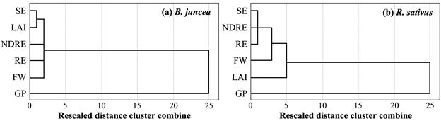 두가지 식물종에 4가지의 기본적인 생육반응과 본 연구에서 사용되는 leaf area index(LAI)와 non-destructive root elongation measurement(NDRE)간의 상관성을 나타낸 Dendrogram 결과. 그림에서 알수 있듯이 LAI와 NDRE는 각각 상층부 및 뿌리 신장과 매우 높은 밀접도를 가진 것으로 나타남.