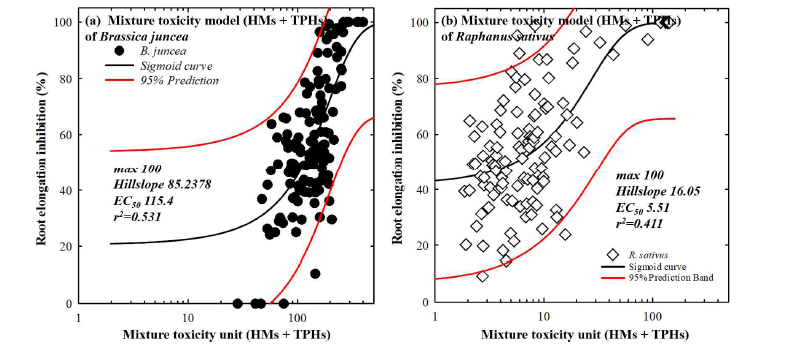 토양 시료에서 식물 독성평가와 토양의 중금속 전함량 분석 및 TPHs 분석 결과와 그리고 IC50을 바탕으 로 토양의 혼합독성단위를 측정하여 식물의 뿌리 신장 저해와의 관계식을 제시하는 혼합 독성 모델을 두 식물 을 바탕으로 개량한 결과.