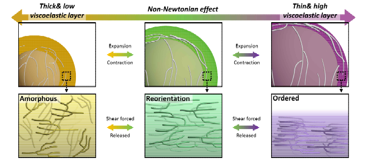Si 부피팽창에 따른 starch 거동 변화 및 non-Newtonian 효과를 이용한 충격 분산