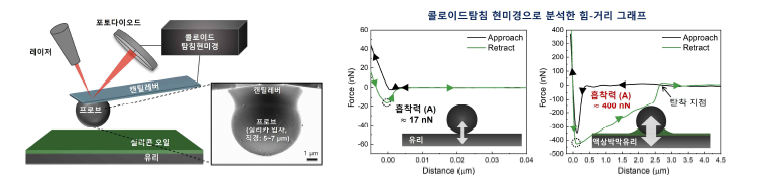 콜로이드탐침 현미경 모식도와 프로브 용 미세입자(실리카)의 전자현미경 이미지(왼쪽) 및 일반유리와 액상박막유리의 미세입자에 대한 힘-거리 그래프(오른쪽)