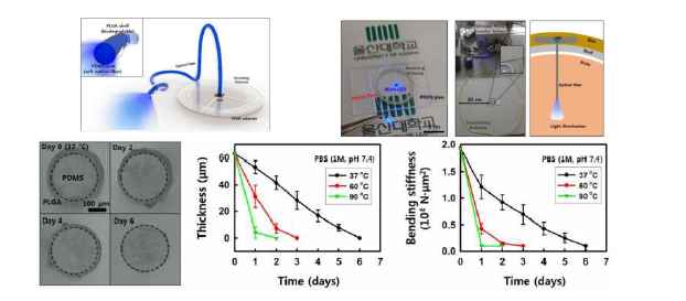 생분해성 광가이드를 포함한 유연 소재 기반의 광유전학 소자 및 생분해 특성