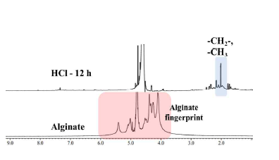 알지네이트와 수열액화 후 알지네이트의 NMR 스펙트럼