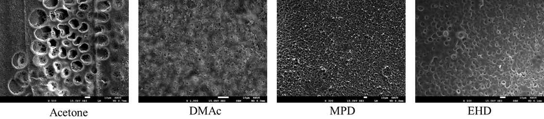 유기용매 종류에 따른 폴리머 구조물의 SEM Image