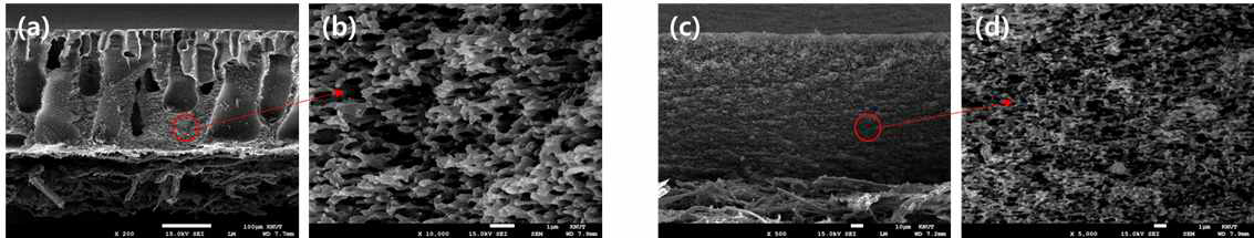용매에 따른 다공성 폴리머 구조물의 절단면 SEM image