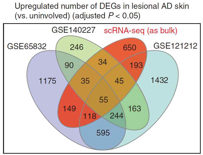 bulk RNA-seq과 scRNA-seq을 bulk화 하여 분석하 여 도출된 DEG 교차관계