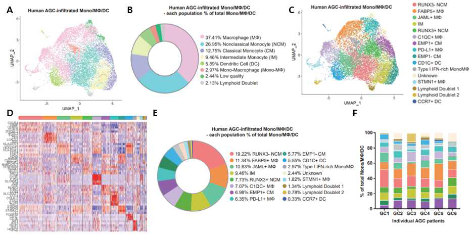 진행성 위암 환자 종양 조직 내부 단핵구/대식세포/수지상세포에 대한 단일 세포 RNA 시퀀싱 분석 결과 (A-B) 종양 내부의 대식세포, 비고전적 단핵구, 고전적 단핵구, 중간 단핵구, 수지상세포의 분포와 비율. (C) 진행 성 위암 환자 내부의 단핵구/대식세포/수지상세포는 서로 다른 16가지 서브셋으로 클러스터링 될 수 있음. (D) 16 가지 서브셋들은 각기 다른 기능적 DEG(differentially expressed genes)를 발현하는 이질적인 세포 집단임. (E) 16가지 서브셋의 종양 내부 비율. (F) 6명의 환자 조직에 서로 다른 비율로 보존되어 있는 16가지 단핵구/대식세 포 /수지상세포의 서브셋.
