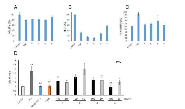 CDA-B로부터 분류한 분획물별 효능검정(A: 생존율, B: 투과성, C: TEER, D: qPCR)